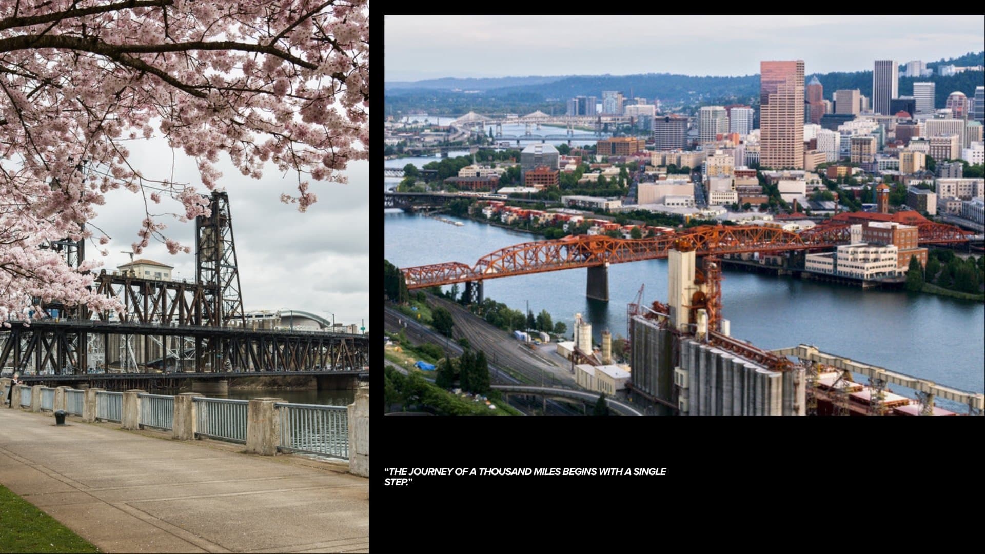 Contact The Viable Source - Portland Oregon digital marketing agency, free strategy consultations