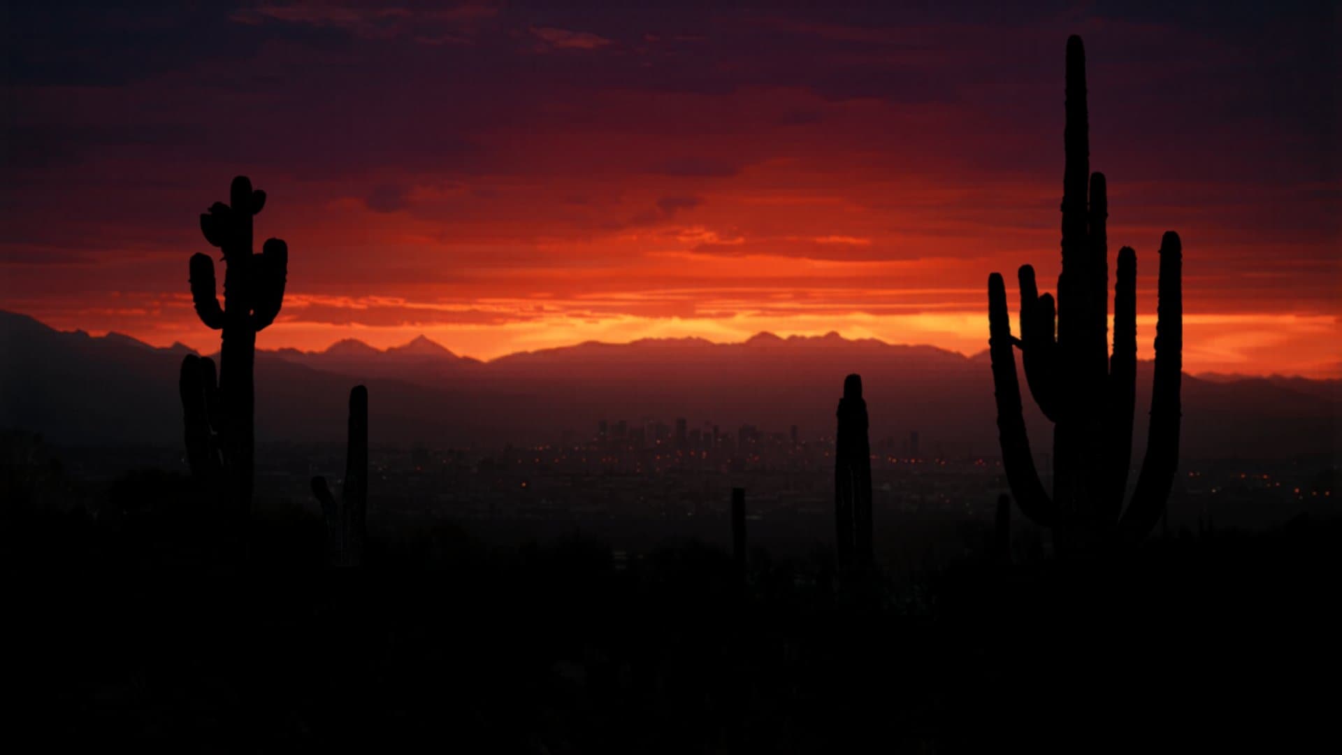 Phoenix Arizona skyline at sunset with desert mountains and saguaro cacti